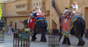 Amber Fort & Palace Elephant Ride