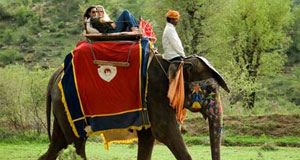 Elephant Safari in Forest / Biological Park